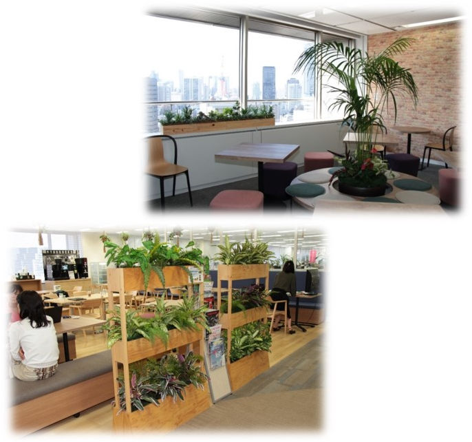 光触媒機能付き人工植物の導入事例1